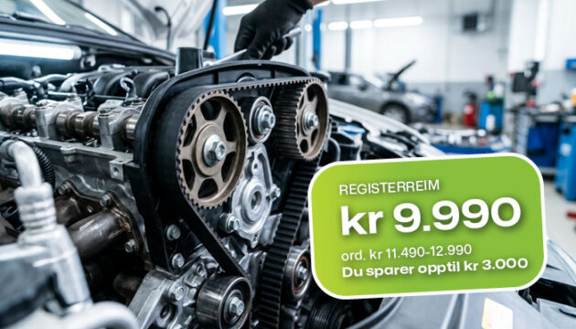Autosentrum Verkstedkampanje Tags 700 x 4003